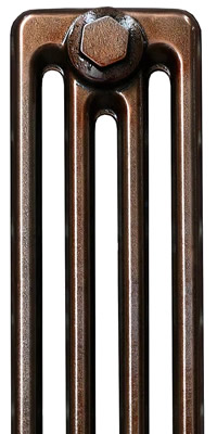 Polished Bronze